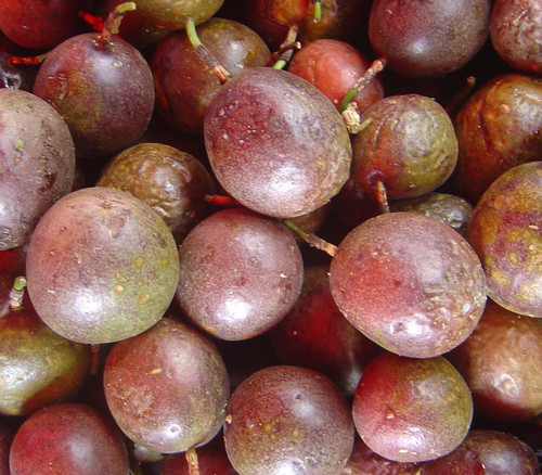 Passiflora edulis - Red Flamenco Passion Fruit Seeds