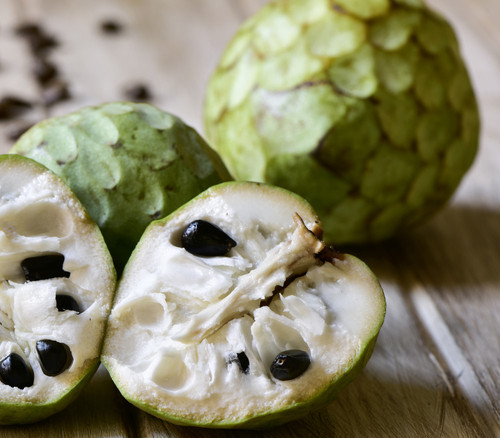 Annona cherimola - Dream Annona Seeds