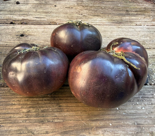 Midnight Blush Tomato Seeds