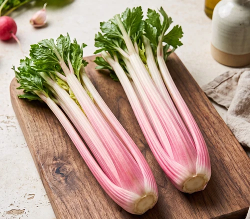 Peppermint Stick Celery Seeds