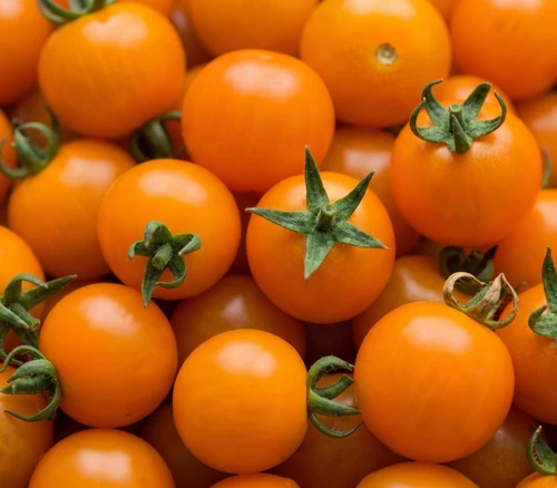 Honeycomb Tomato Seeds