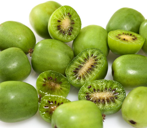 Actinidia arguta - Baby Kiwi Seeds Actinidia arguta - Baby Kiwi Seeds