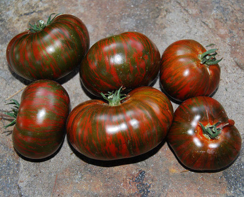 Chocolate Stripes Tomato Seeds