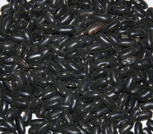 Black Valentine Bean Seeds