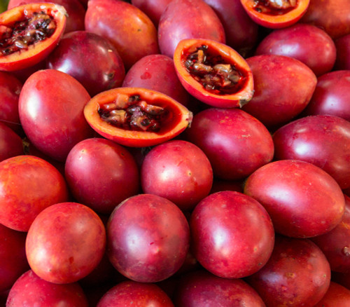 Cyphomandra betacea - Tree Tomato Seeds Cyphomandra betacea - Tree Tomato Seeds
