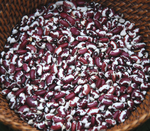 Cave Bean Seeds