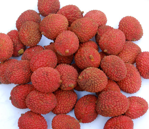 Litchi chinensis - Lychee