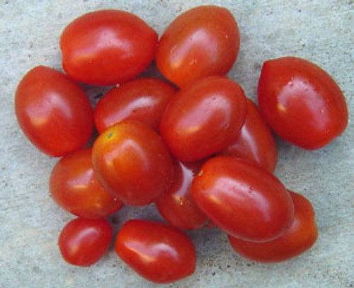 Grape Tomato Seeds Grape Tomato Seeds
