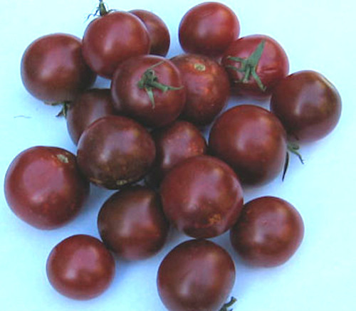 Black Cherry Tomato Seeds