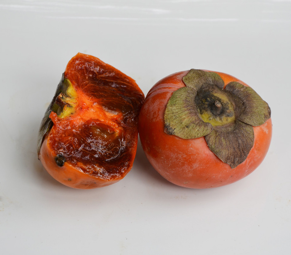 Asian Persimmon (Diospyros Kaki) In Fruit - Stock Image - C021/7993