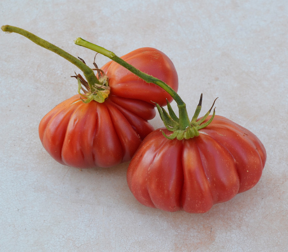 Henderson's Pink Ponderosa Tomato Heirloom Seeds