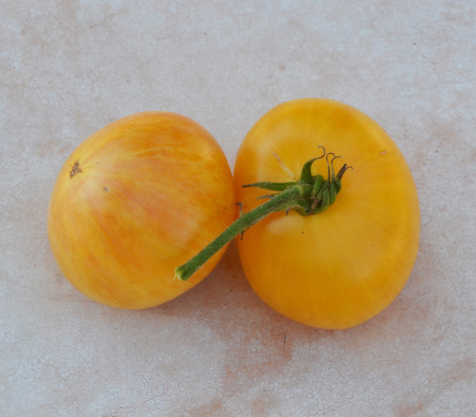 Hawaiian Pineapple Tomato Seeds