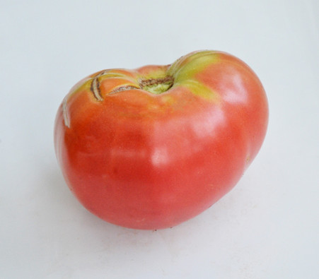 Love Apple Farm's Tomato Variety Photo Album: All colors of beefsteak  tomatoes