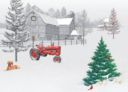 Quiet Christmas Christmas Cards - Set of 100 Quiet Christmas Christmas Cards - Set of 100