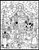 Starlit Manger Color Your Own Advent Calendar