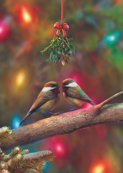 Box Christmas Kiss Christmas Cards