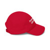 Mom or Dad Cap - 'helmet hair. don't care.' - Embroidered Baseball Hat - Biker - Color Choice.