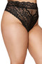 High Waisted Lace Panty