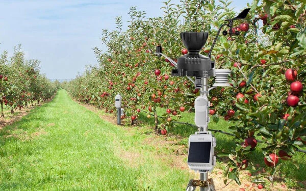 Get the Crop and Weather Data You Need—Anywhere, Anytime