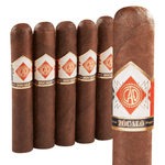 CAO ZOCALO ROBUSTO