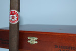 J.L. SALAZAR ROBUSTO HABANO