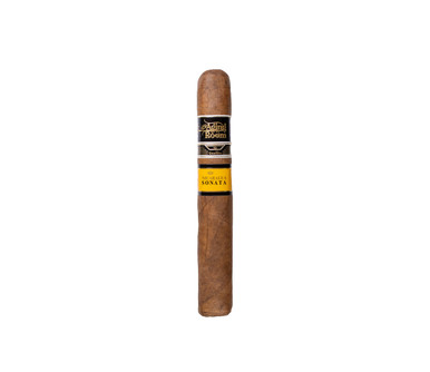 AGING ROOM QUATTRO NICARAGUA SONATA VIBRATO TORO 6 x 54