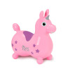 Gymnic Rody Hoppity Magical Unicorn With Pump