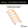 Champion Weighted Training Hurdles Set