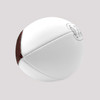 Champion Official Size Autograph Football