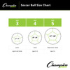 Champion Sports Rhino Skin Rainbow Soccer Ball Set