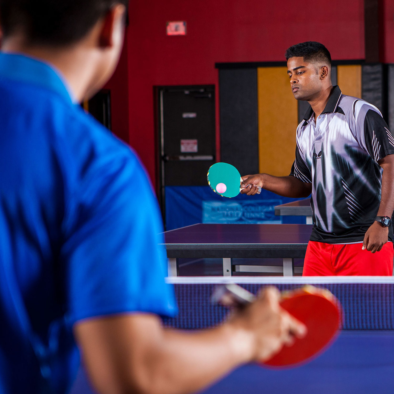 Rhino 1 Star Rainbow Table Tennis Balls - Athletic Stuff