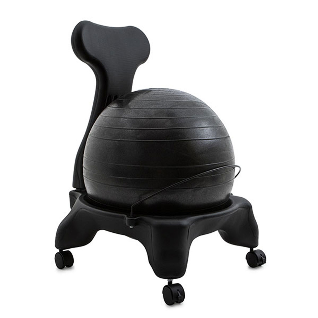 Therapy Ball Chair