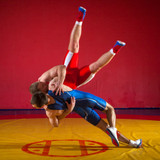 Wrestling