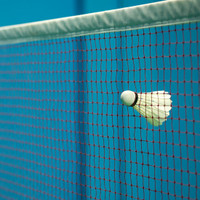 Badminton Nets