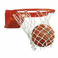Basketball Goals & Nets