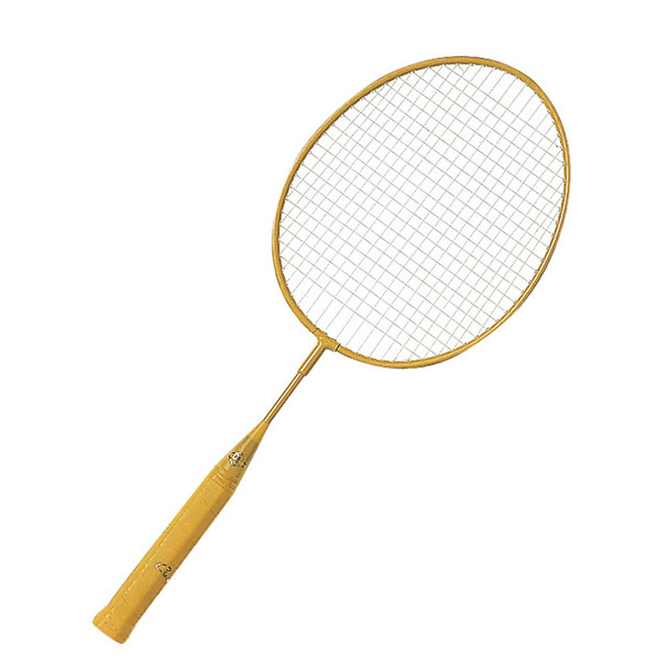 Champion Sports Mini Youth's Badminton Racket