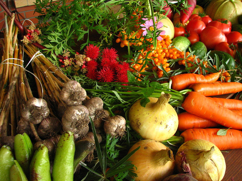 eating to cleanse approved foods for detoxification nuzum s
