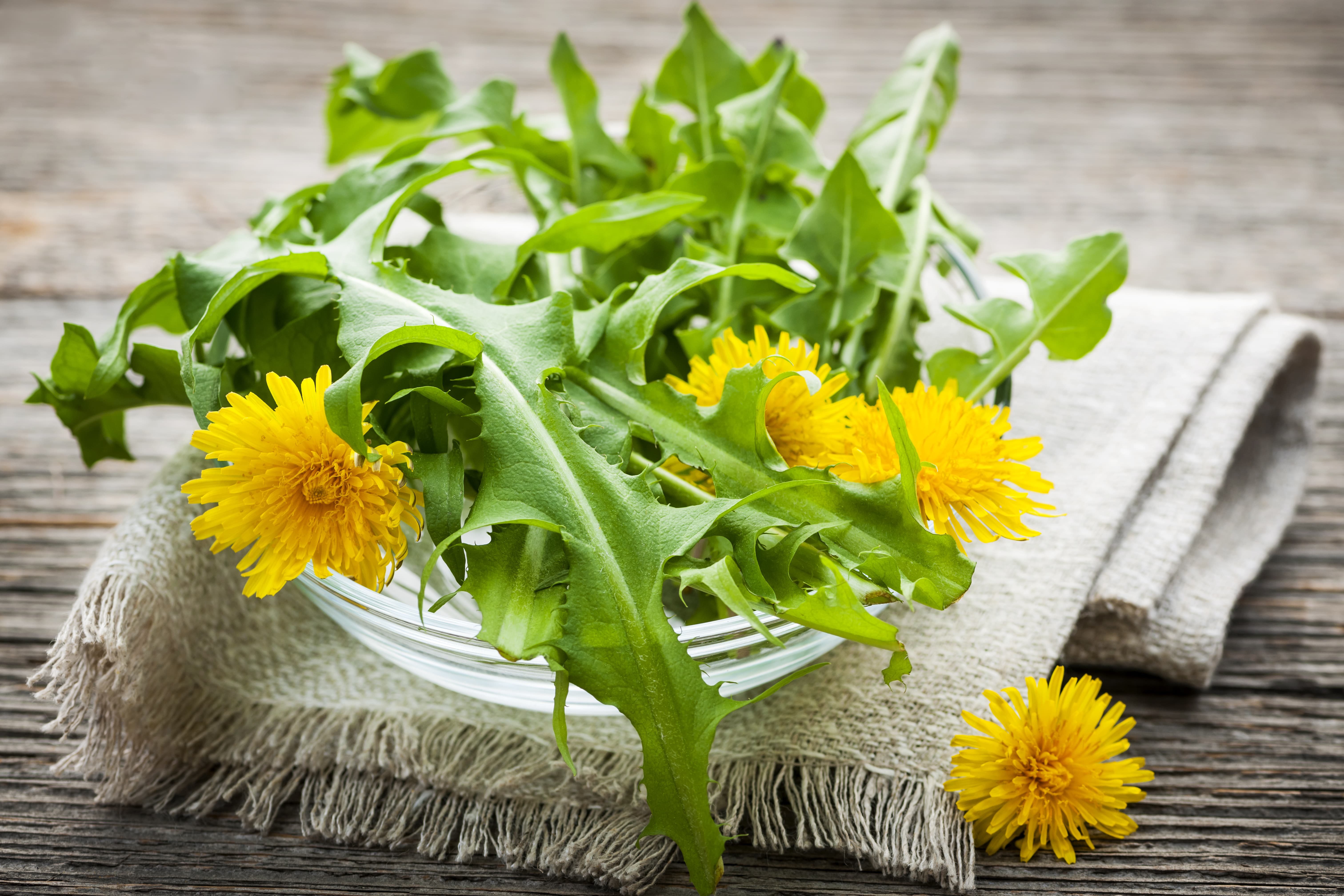 Kill Dandelions and Other Weeds Naturally