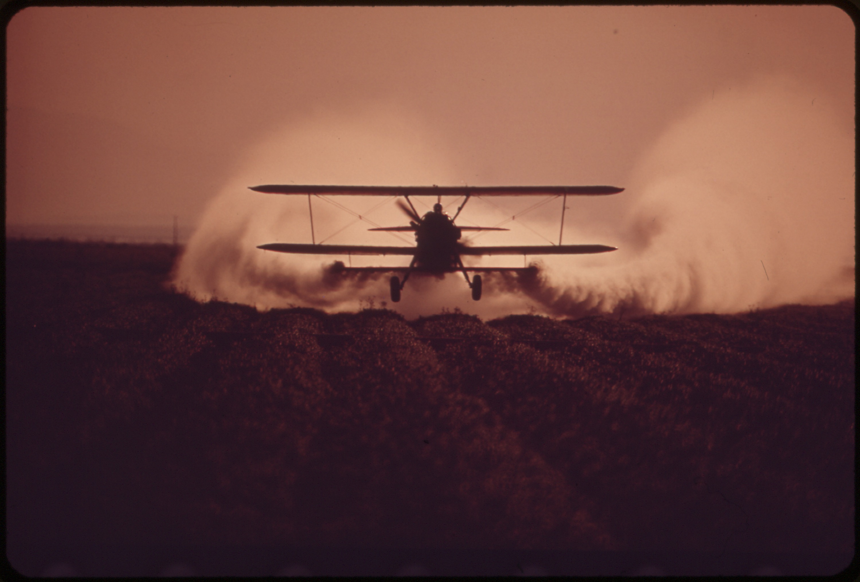 Toxicity is Not New: The History of Pollution