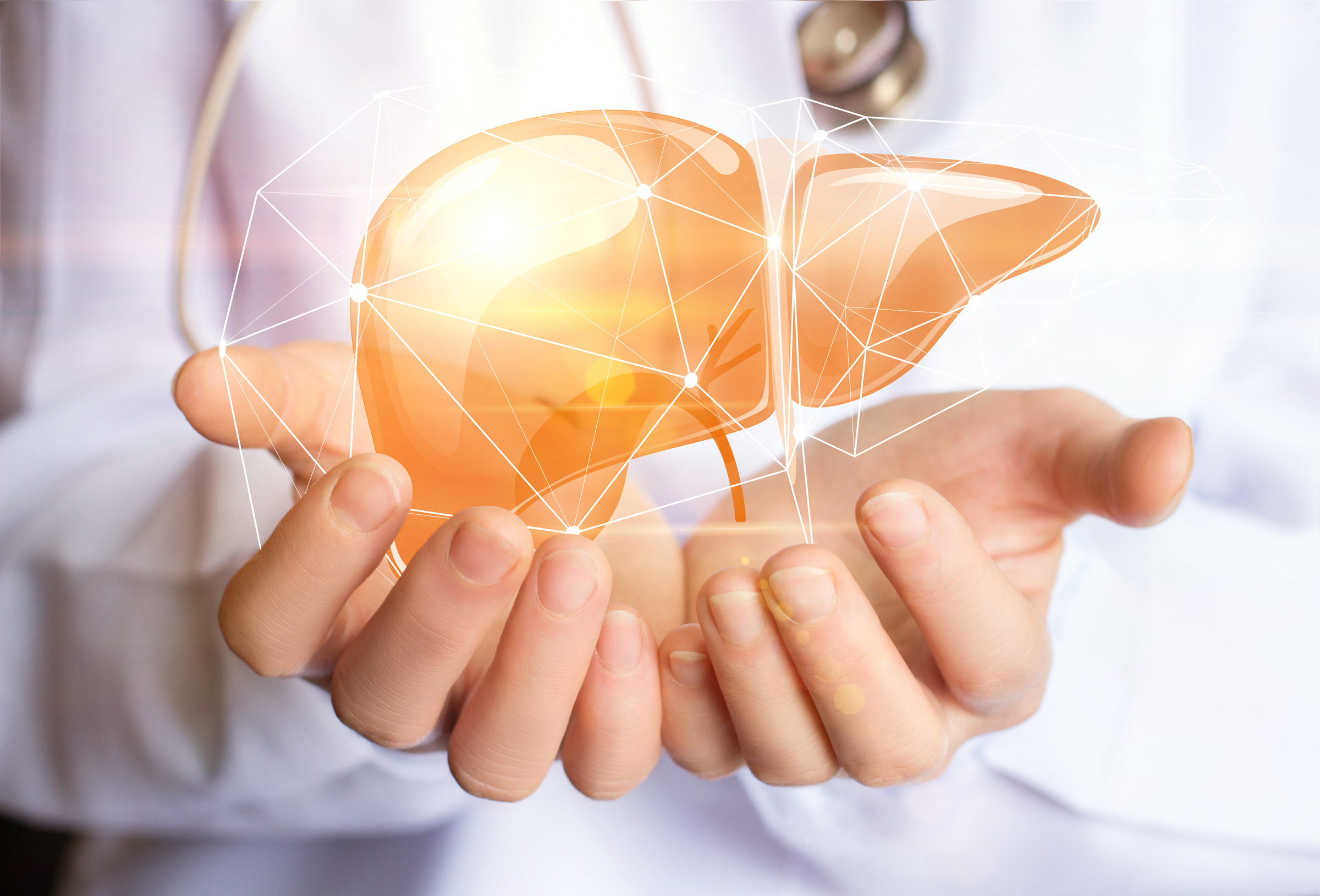 The Secret is in The Liver