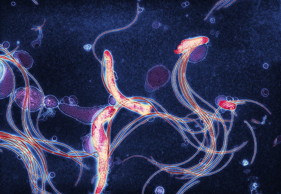 Patient Story: Lyme Disease