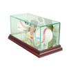 Card and Double Baseball Display Case