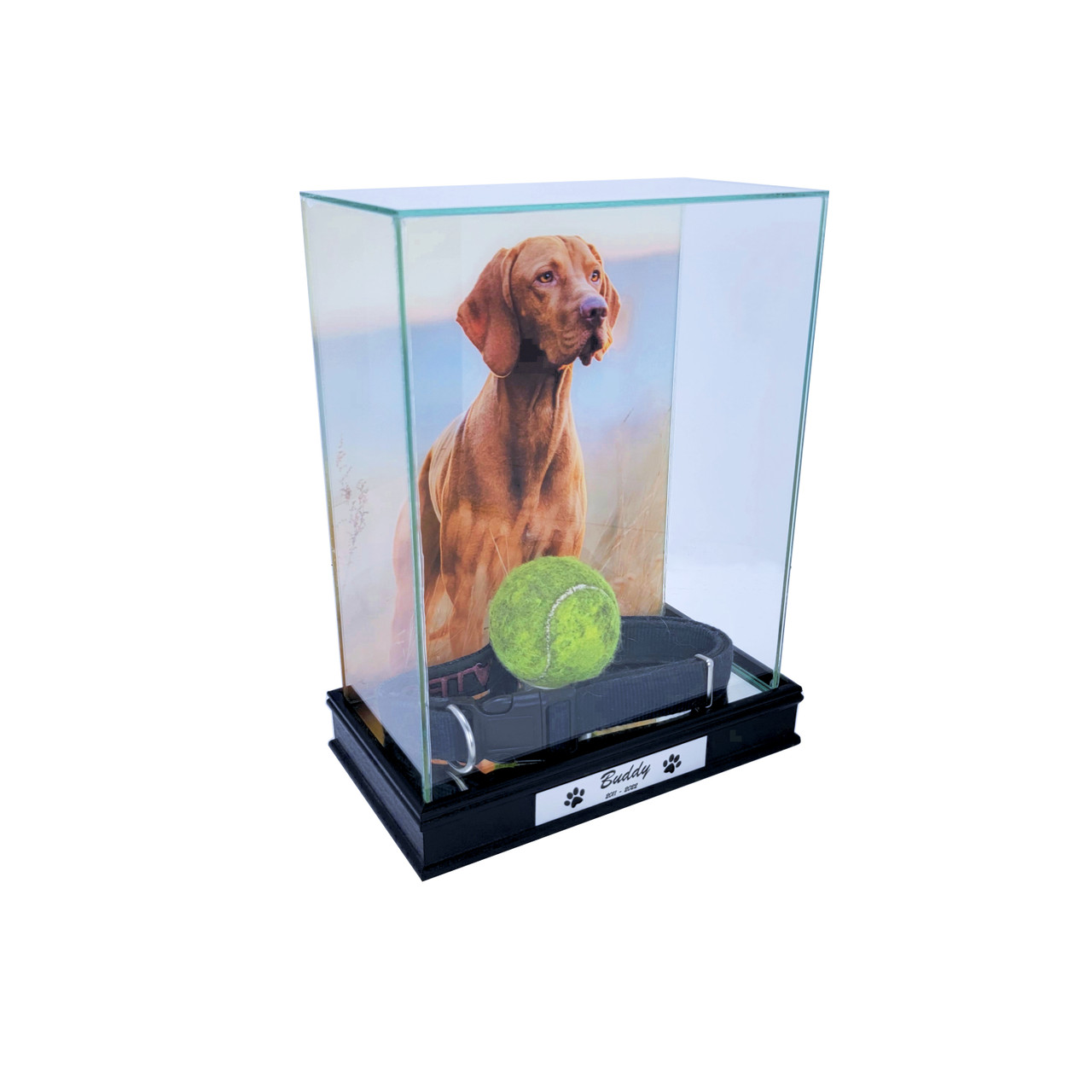 Pet Memorial Display Case with 8x10 Photo Print in The Back and Custom