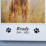 Personalized Pet Memorial Canvas Print - Framed