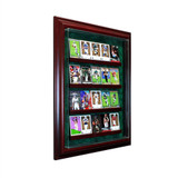 20 Card Cabinet Display Case