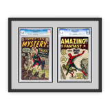 Double Graded Comic Book Frame