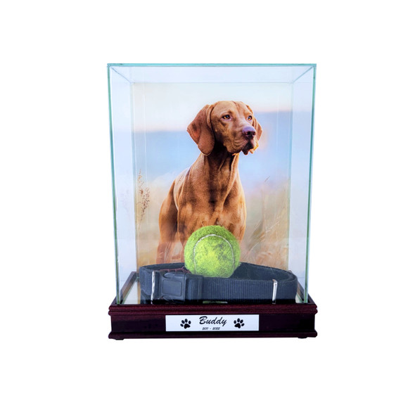 Pet Memorial Display Case with 8x10 Photo Print in The Back and Custom Engraving