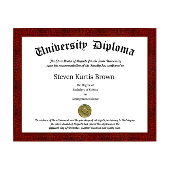 Basic Document / Diploma Frame