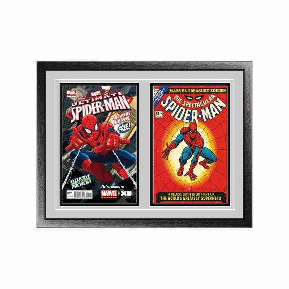 Double Comic Book Frame with Classic Moulding