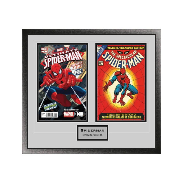 Double Comic Book Frame with Engraving in Classic Moulding